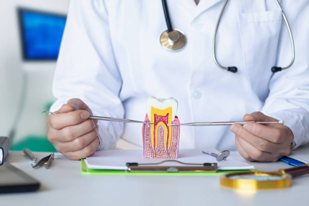 Best Emergency Cosmetic Dentistry in Dunwoody, GA